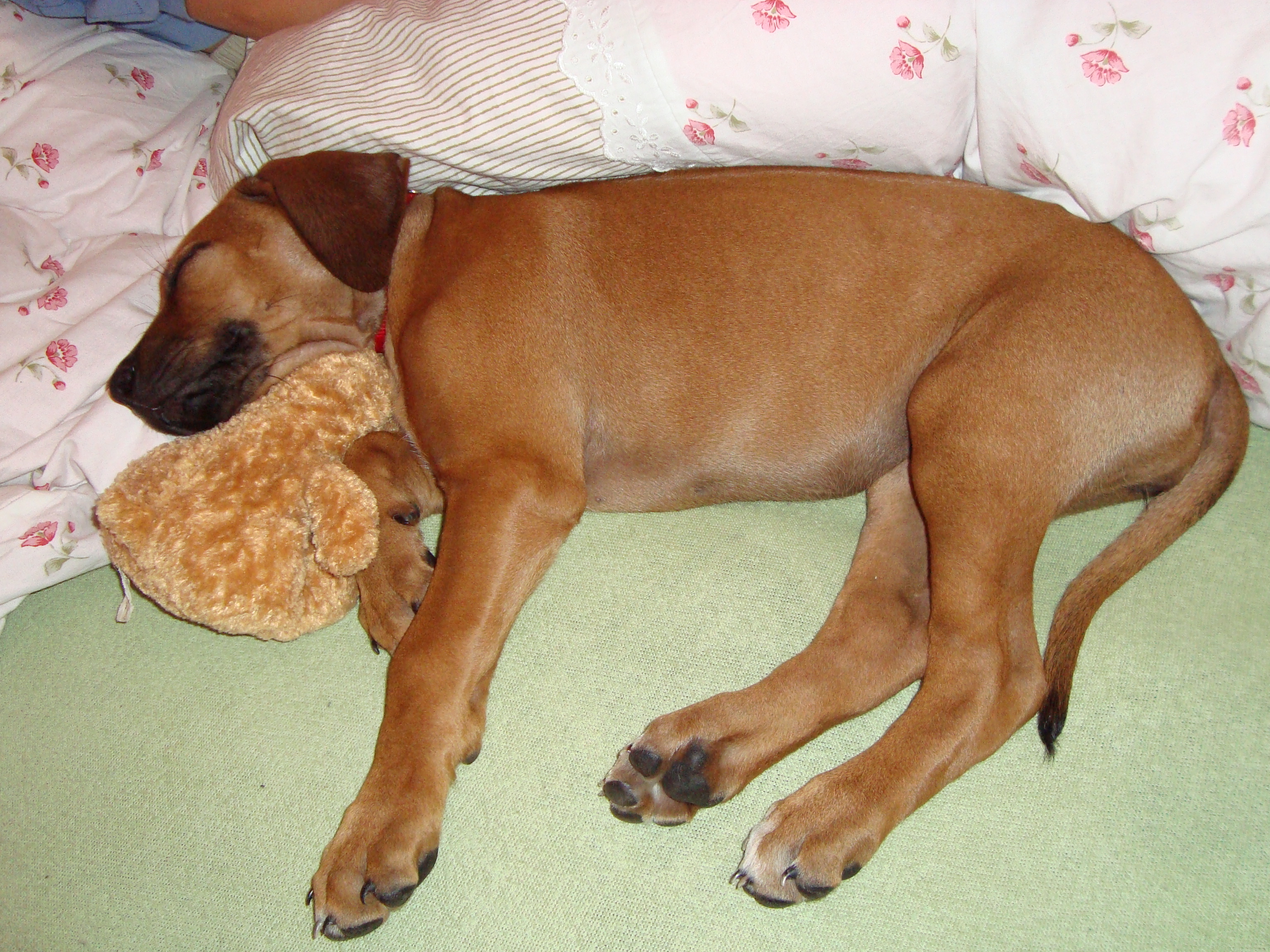 DSC07173.JPG