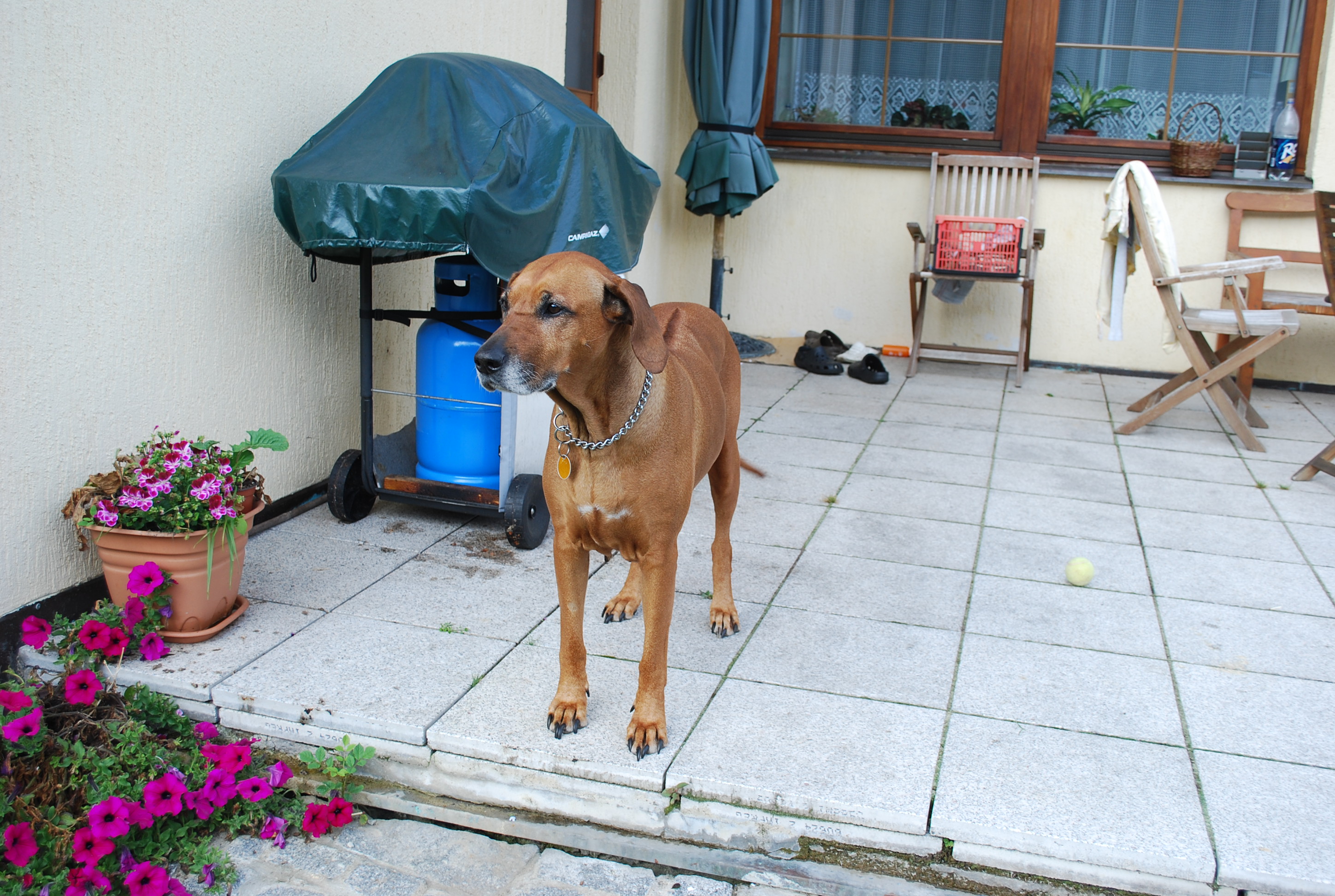 DSC_0011.jpg