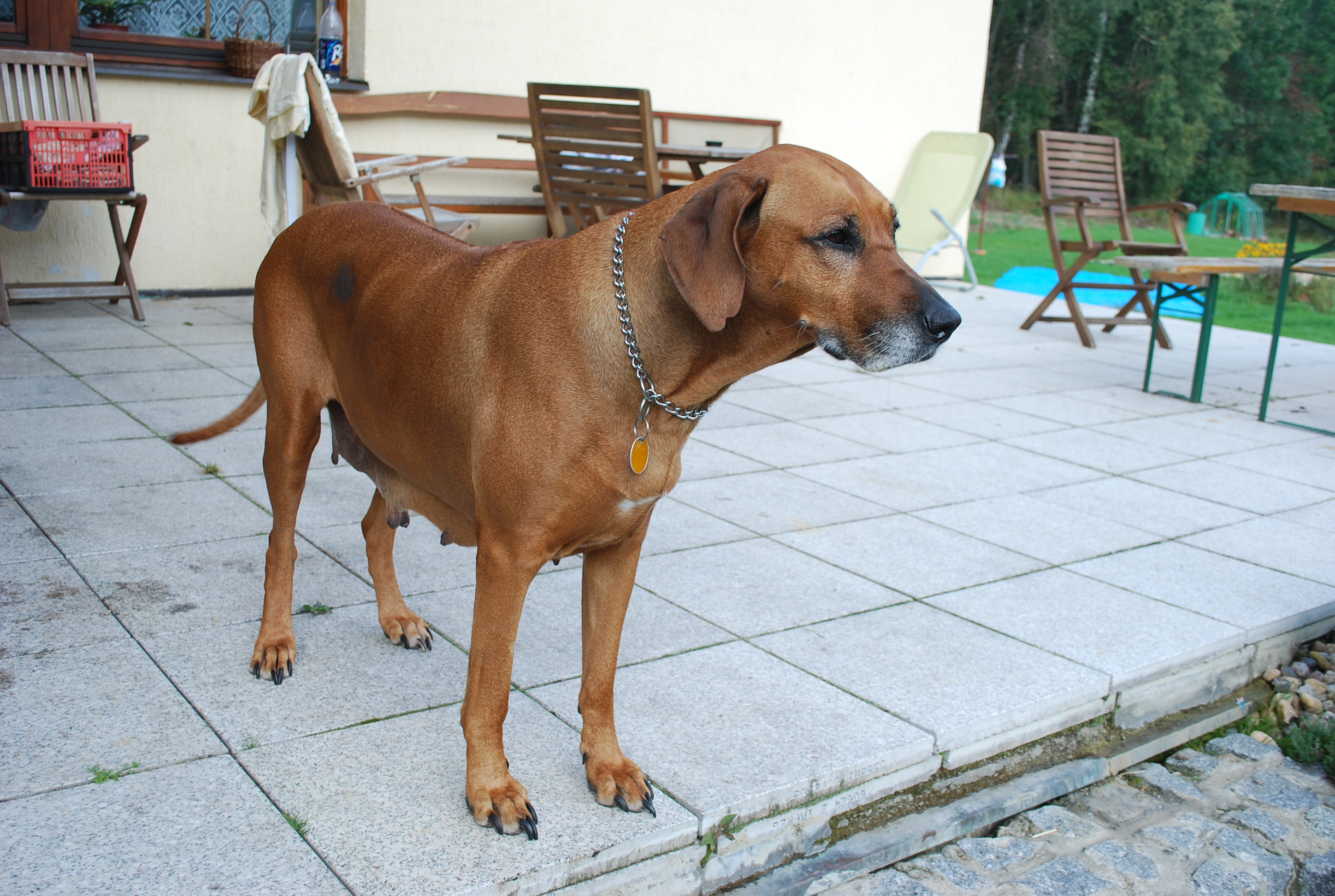 DSC_0012.jpg