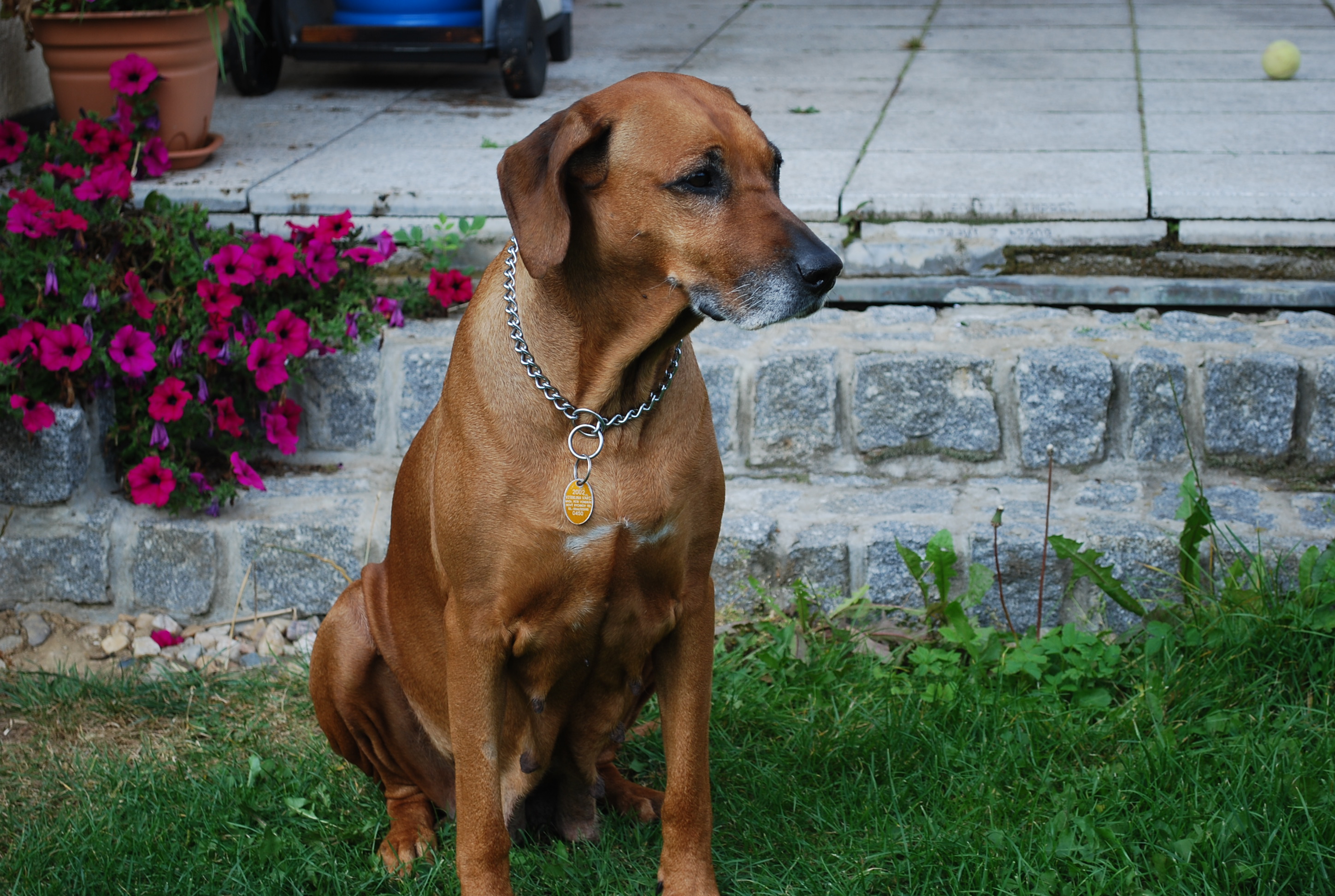 DSC_0019.jpg