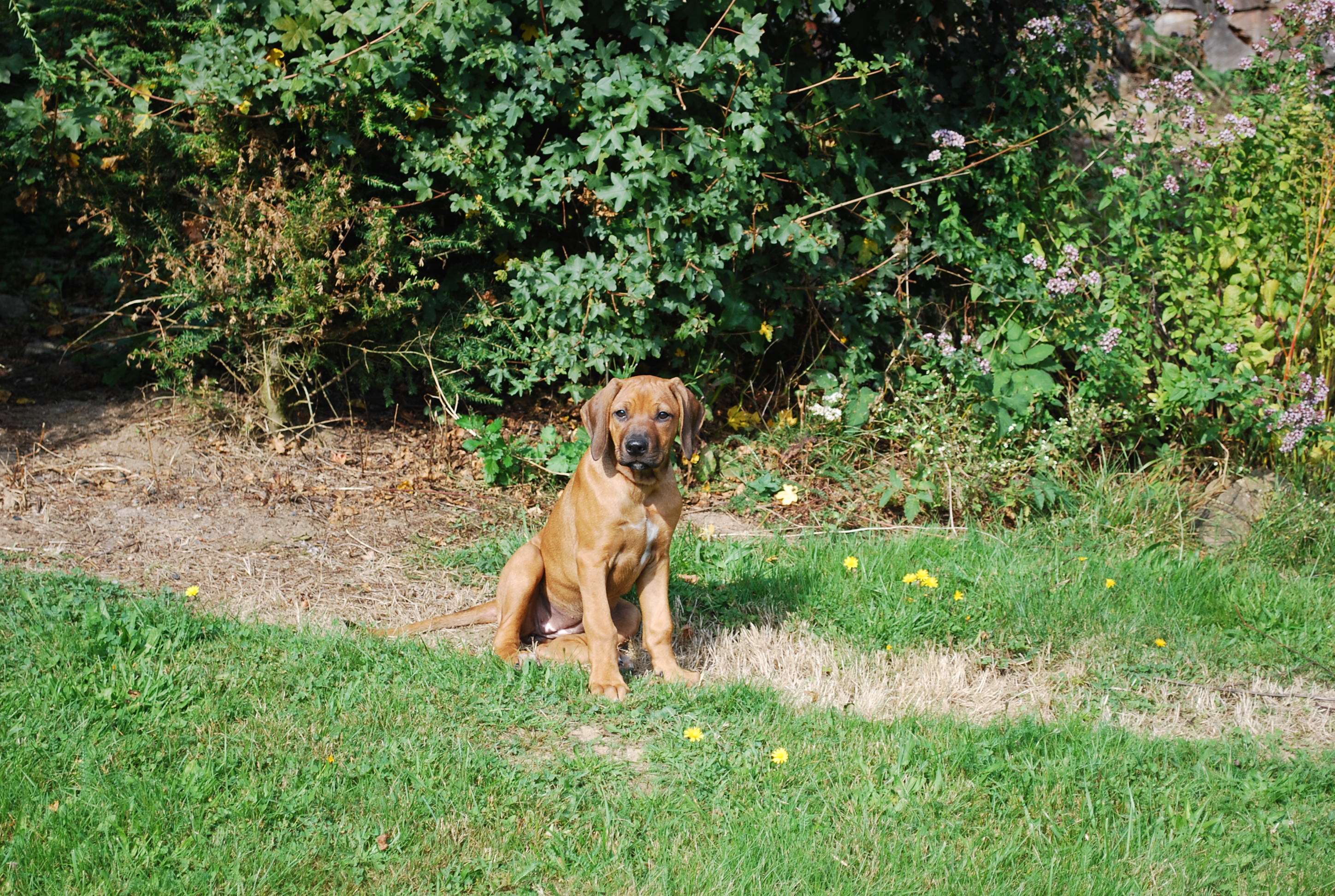 DSC_0002.jpg